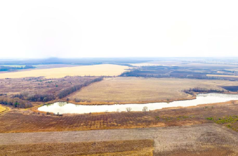 Рівна земельна ділянка в с. Ксаверівка